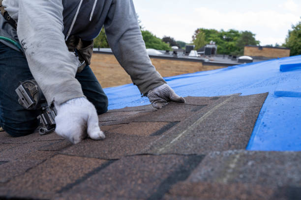 Best Storm Damage Roof Repair  in City View, SC