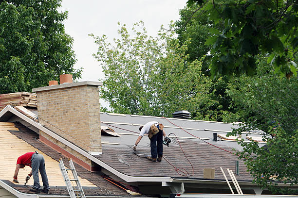 Best Metal Roofing Contractor  in City View, SC